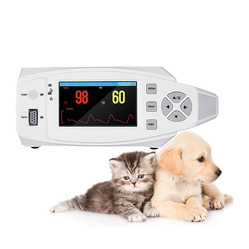 Clinic Electronic NIBP Veterinary Vital Signs Monitor แบตเตอรี่ Li แบบพกพา GB / T18830